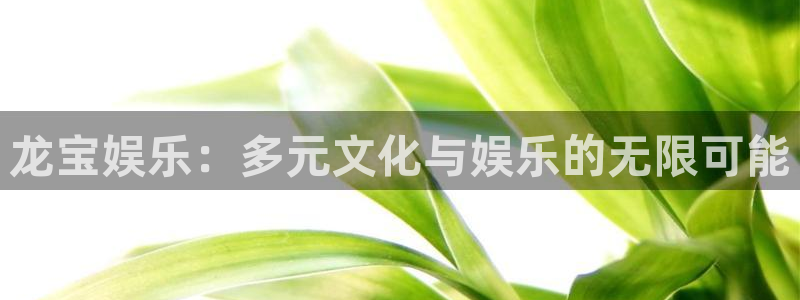 wg电子平台